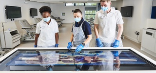 Health and Social Care