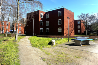 City Standard block with ping pong table