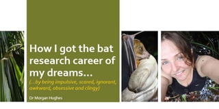 A graphic promoting a bat research event
