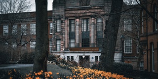 An atmospheric shot of Wulfruna Building with a carpet of daffodils