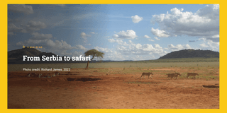 WLV Life magazine: from serbia to safari