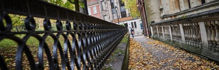 The path on St Peter's Walk, near the entrance to the Wolverhampton Art Gallery in autumn.