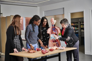 A Lecturer showing students a model of the human anatomy