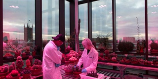 Accreditation by leading UK body secured for science courses