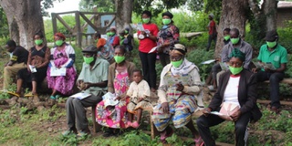 Illegal logging soars during Covid-19 pandemic in Congo Basin