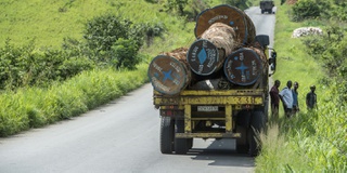 CIDT secures €2.2m for project to fight illegal deforestation