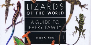 New book on lizards written by University professor released