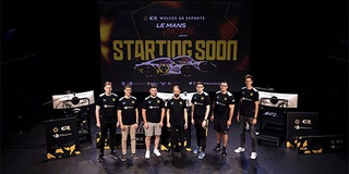 wolves_esports_team