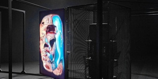 Free discussion event puts spotlight on BAS9 themes of difference and togetherness 