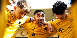 Wolves_partnership