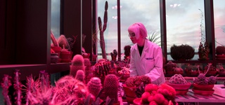 Student in greenhouse centre