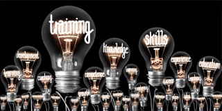 A graphic depicting light bulbs focusing on training